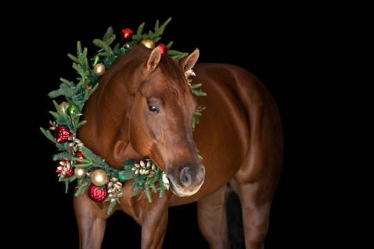 Christmas Horse