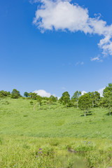 高原の風景