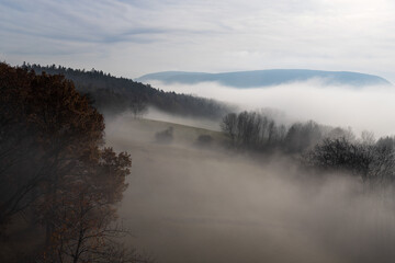 Fototapeta premium Novembernebel vom Kienberg