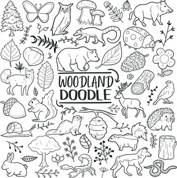 Woodland Animals Forest Traditional Doodle Icons Sketch Hand Made Design Vector.