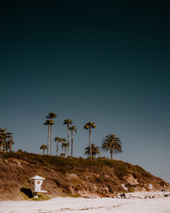 Laguna Beach Summer 