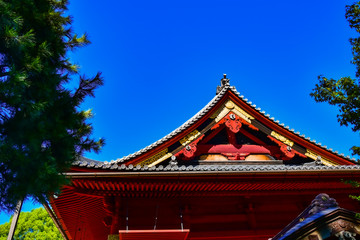 Fototapeta premium Ueno Shrine in The Morning, the Japanese shrine with the clear blue-sky background