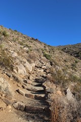 The Little San Bernardino Range contains Ryan Mountain, and, within natural wonders of the Southern Mojave Desert, Joshua Tree National Park offers a tough trek to the summit.