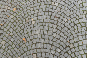 Paving stone square fan. Gray stone pavement and footpath in the fall with fallen leaves. European smooth cobblestone.