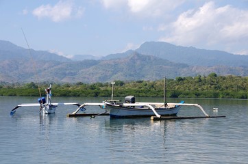 Landscape on the Menjangan island in Indonesia