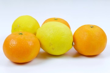 Lemons and tangerines in macro view