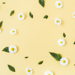 Naklejka na ściany i meble Frame border of white chamomile daisy flowers pattern on yellow background. Flat lay, top view copy space mockup.