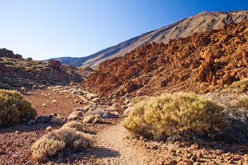 Teide National Park on Tenerife, Canary Islands, Spain.
