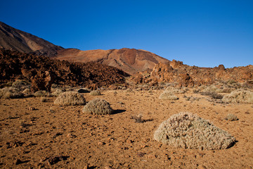 Teide National Park on Tenerife, Canary Islands, Spain.