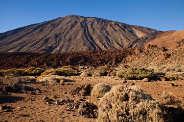 Teide National Park on Tenerife, Canary Islands, Spain.