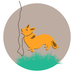 Small domestic dog on a leash, corgi - round icon, isolated on white background - vector. Environmental Protection. Animal world.