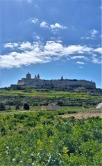 Green view to ancient mdina in the day, malta