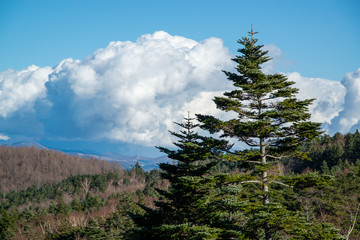 Fototapeta na wymiar 山と積乱雲