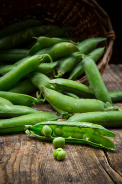 Green peas and peapods and basket