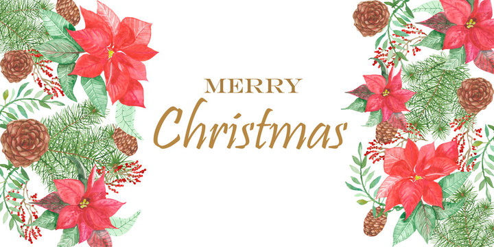 Watercolor nature winter holiday celebration composition with red flower poinsettia, green fir branches and leaves, brown pine cones and red berries on the white background with merry christmas text