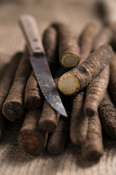 Sliced and whole black salsifies (Scorzonera hispanica) and kitchen knife on jute, close-up