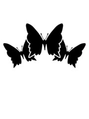 Obraz na płótnie Canvas Fliegende 3 Schmetterlinge fliege