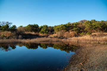 水面に映る山　水の反射
