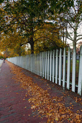 White picket fence in autumn