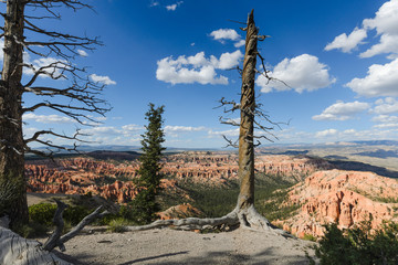 Bryce Canyon