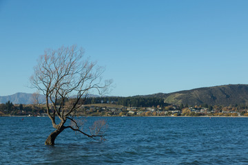 Lake Wanaka in New Zealand