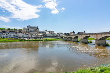 Amboise castle and Loire river, France