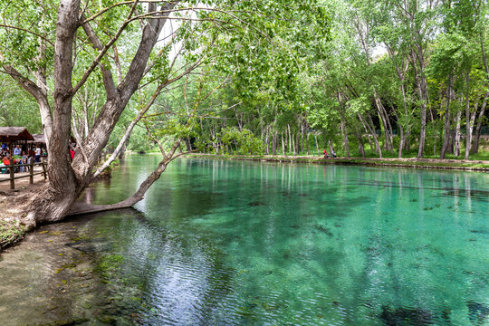 Italy, Campania, Telese  parco del Grassano
