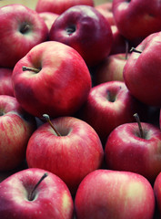 red apples on white background
