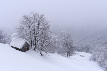Fantastic landscape with snowy house