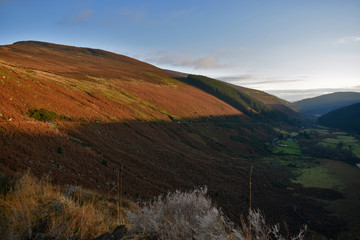 Irish Countryside