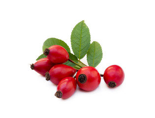 Ripe rose hip isolated on white background