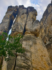 Sandstone rocks and tree in Bohemian Paradise, Czechia 