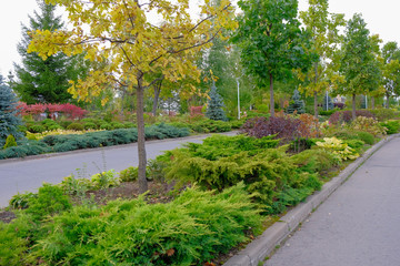 Fototapeta na wymiar Tracks in the park with ornamental shrubs and trees on autumn day.