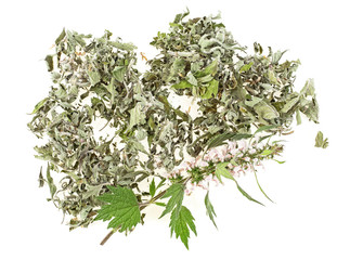 Motherwort plant on a white background, top view. Heap of dried and fresh plant.