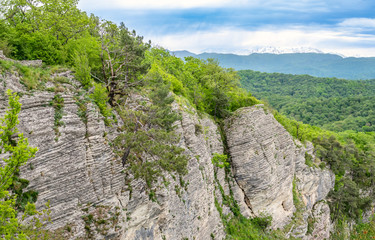 Fototapeta na wymiar Thick green deciduous forest on the slopes of a high Hill. Cliff of limestone. Eagle Rocks, Sochi, Russia