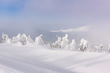Fantastic winter landscape