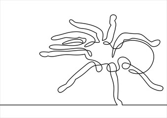 Fototapeta premium spider tarantula vector -continuous line drawing