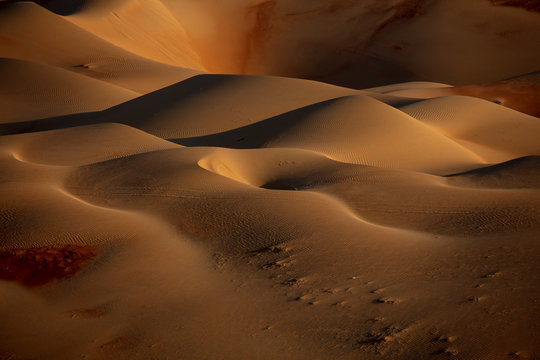 Closeup photo of desert digital wallpaper