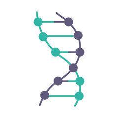 DNA helix violet and turquoise color icon. Z-DNA. Connected dots, lines. Deoxyribonucleic, nucleic acid structure. Chromosome. Molecular biology. Genetic code. Genetics. Isolated vector illustration
