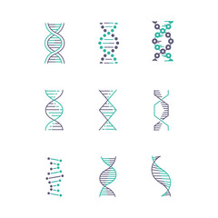 DNA spirals violet and turquoise color icons set. Deoxyribonucleic, nucleic acid helix. Spiraling strands. Chromosome. Molecular biology. Genetic code. Genome. Genetics. Isolated vector illustrations
