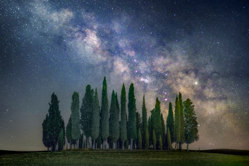 Green pine trees and milky way galaxy illustration