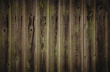 Old wooden background in green. Peeling paint.