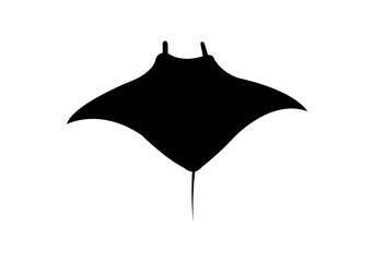 manta ray silhouette on white - obrazy, fototapety, plakaty