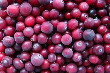 background of frozen cranberries covered with frost