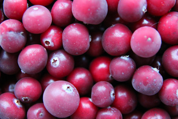 background of frozen cranberry berries close up top view