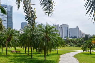 Fototapeta na wymiar Exotic park in the center of the metropolis