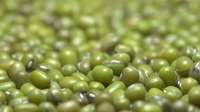 Mung beans macro light sweep