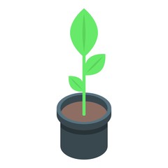 Plant pot icon. Isometric of plant pot vector icon for web design isolated on white background
