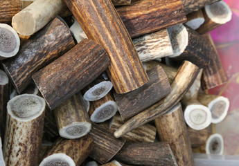 Close up of cut up pieces of antlers or deer horn for sale