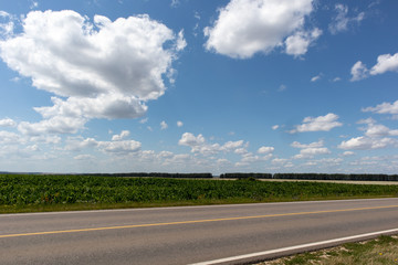 road in a soy filed and blue sky